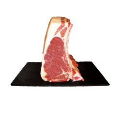 costata di Puledro 1 pezzo